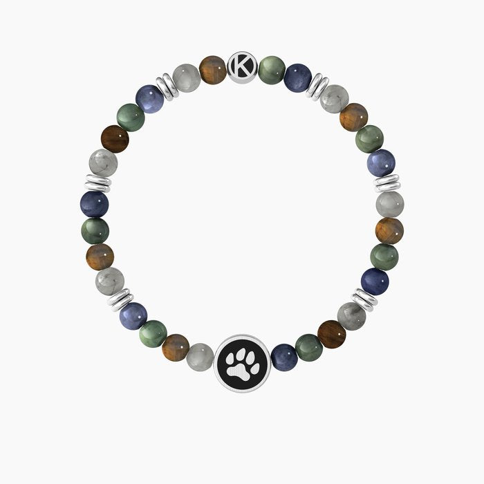 ANIMAUX DE COMPAGNIE | MEILLEURS AMIS