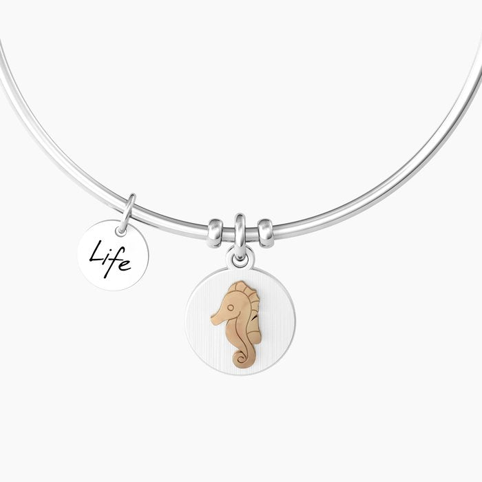 CAVALLUCCIO | LIBERTÀ