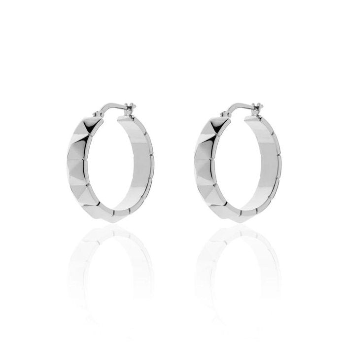 Silver plated bronze earrings