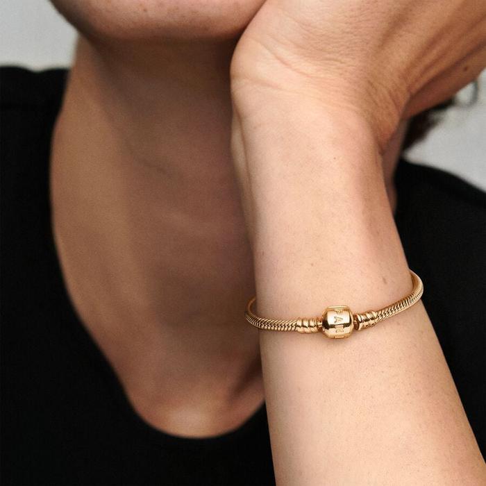 Bracciale Moments con maglia snake in oro 14k