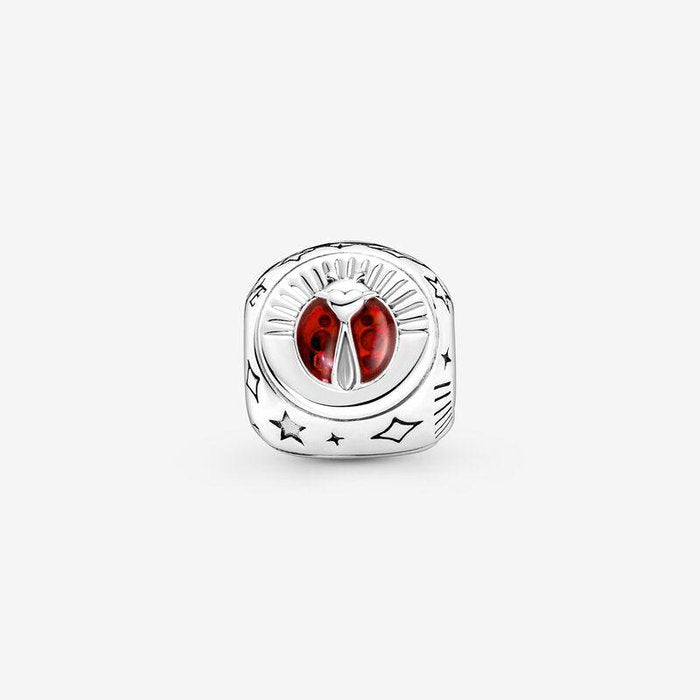 Charm Simboli della Fortuna