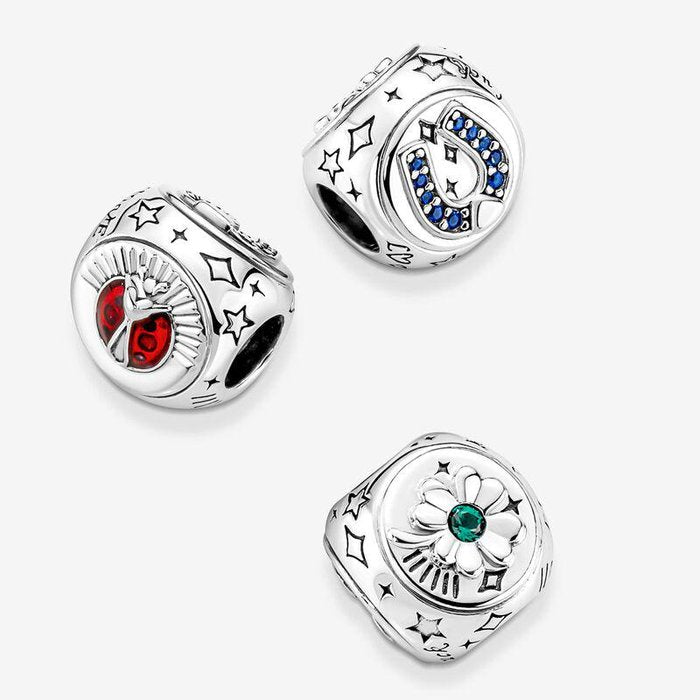 Charm Simboli della Fortuna