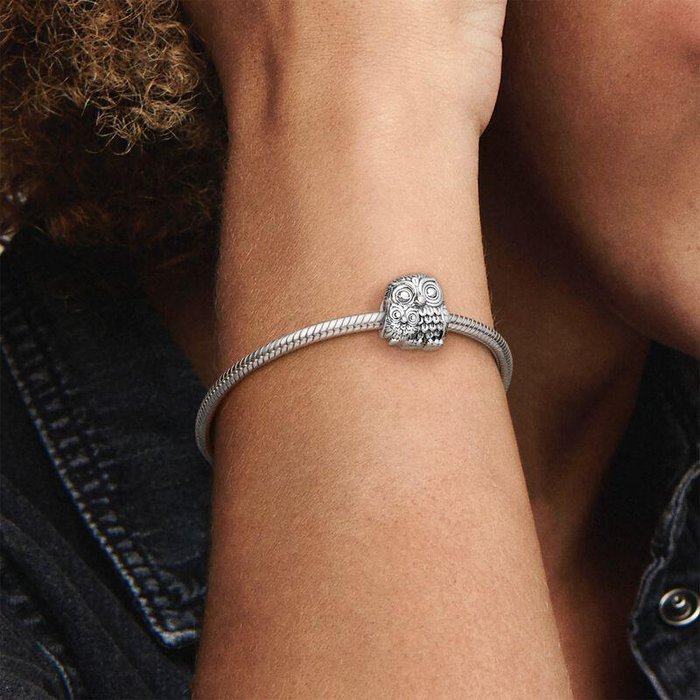 Charm Mother Owl and Little Owl