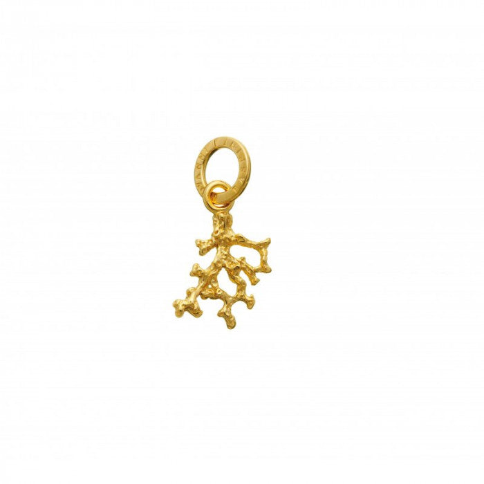 CHARM CORALLINO DORATO