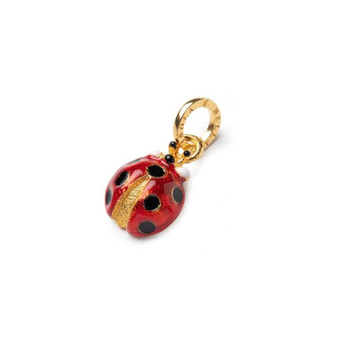 Charm Coccinella