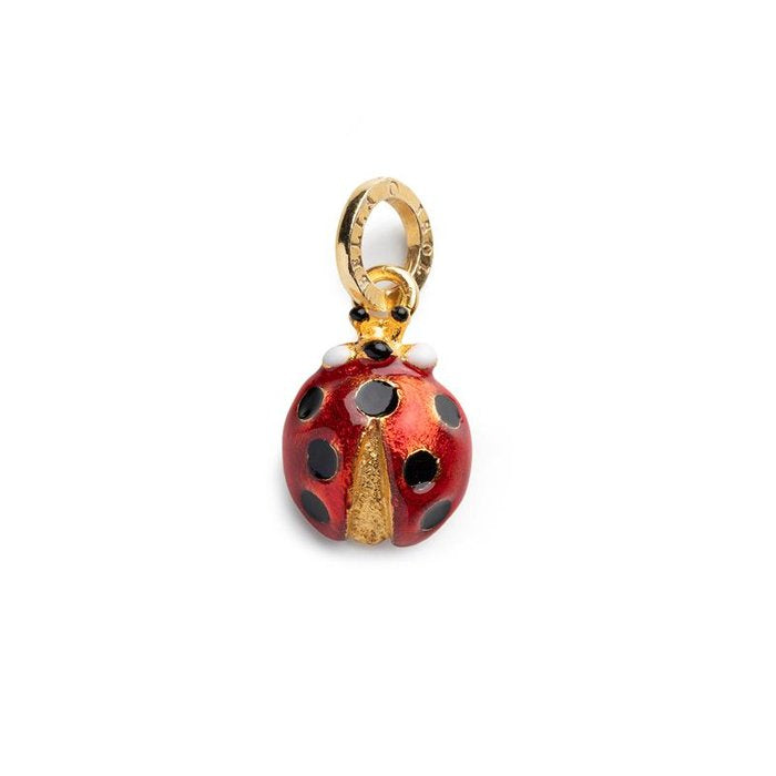 Charm Coccinella
