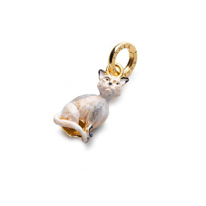 Charm Gatto