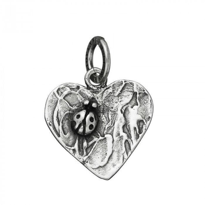 Coccinella Nel Cuore