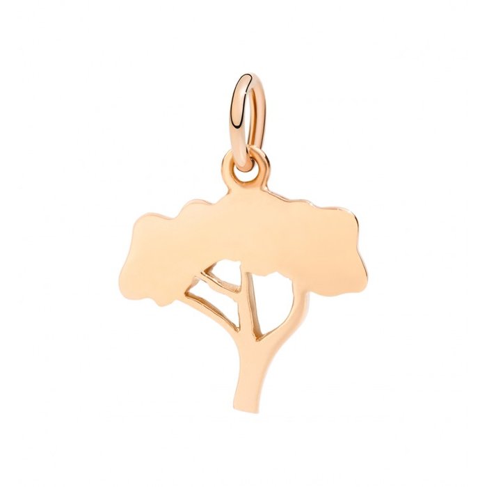 ALBERO