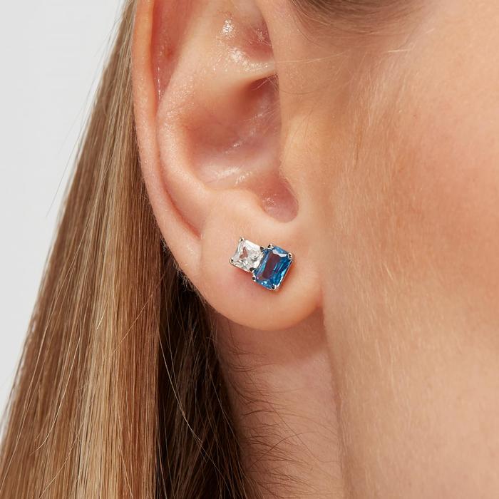 FANCY Earring