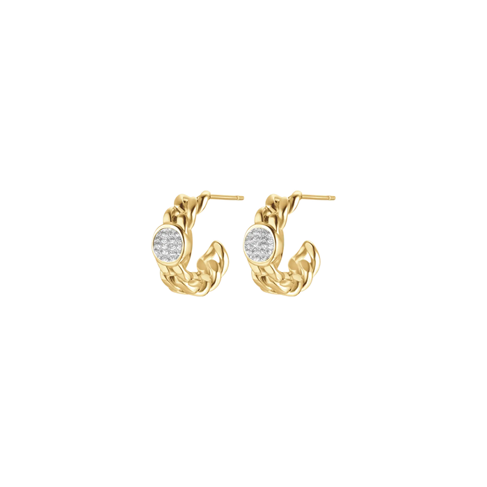 WOMEN'S EARRINGS IN IP GOLD STEEL AND WHITE CRYSTALS