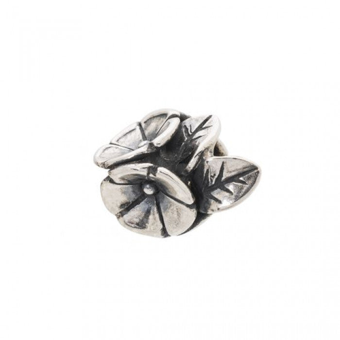 L abbraccio dei fiori