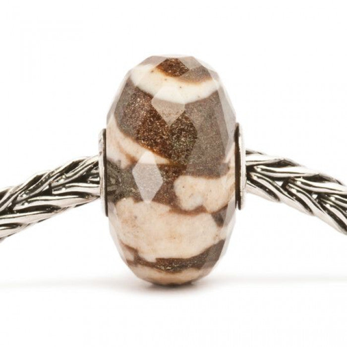 Zebra Jasper