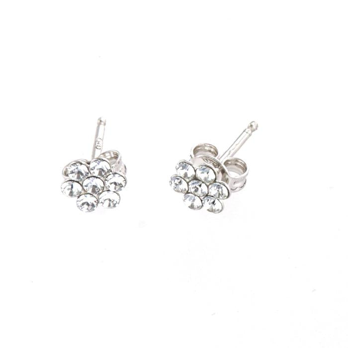 925 Silver Earrings