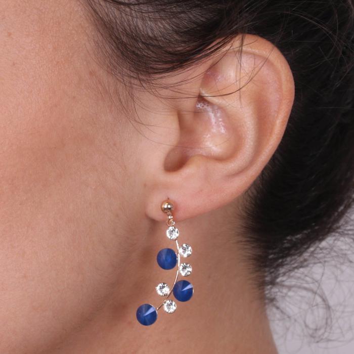 Boucles d'oreilles en argent 925