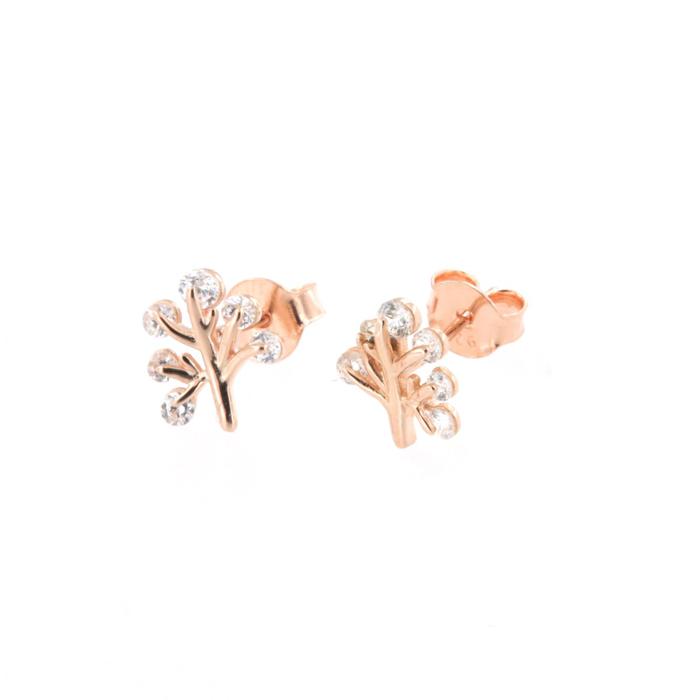 Boucles d'oreilles en argent 925