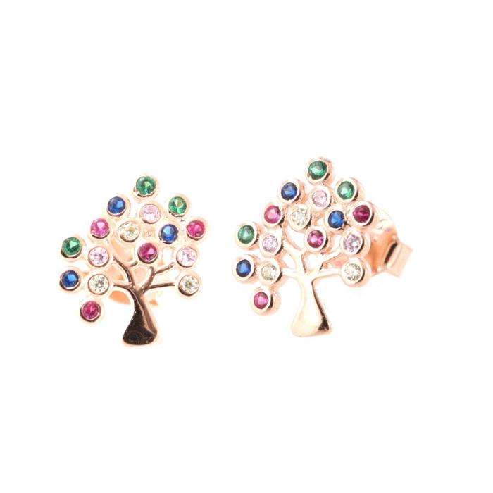 Boucles d'oreilles en argent 925