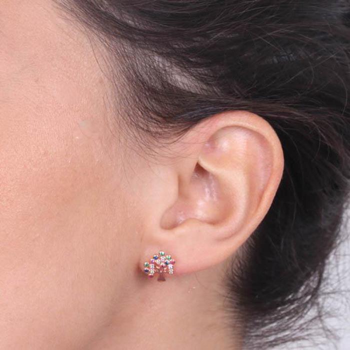 Boucles d'oreilles en argent 925