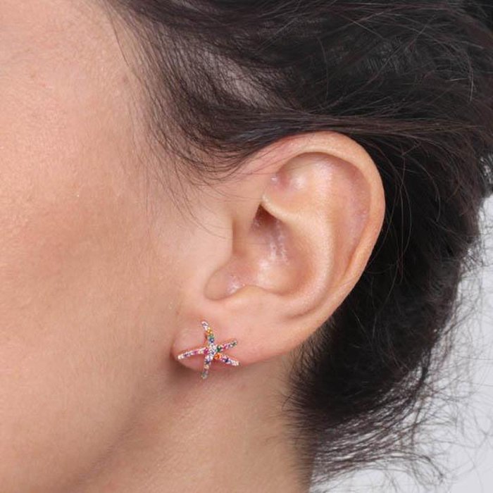 925 Silver Earrings