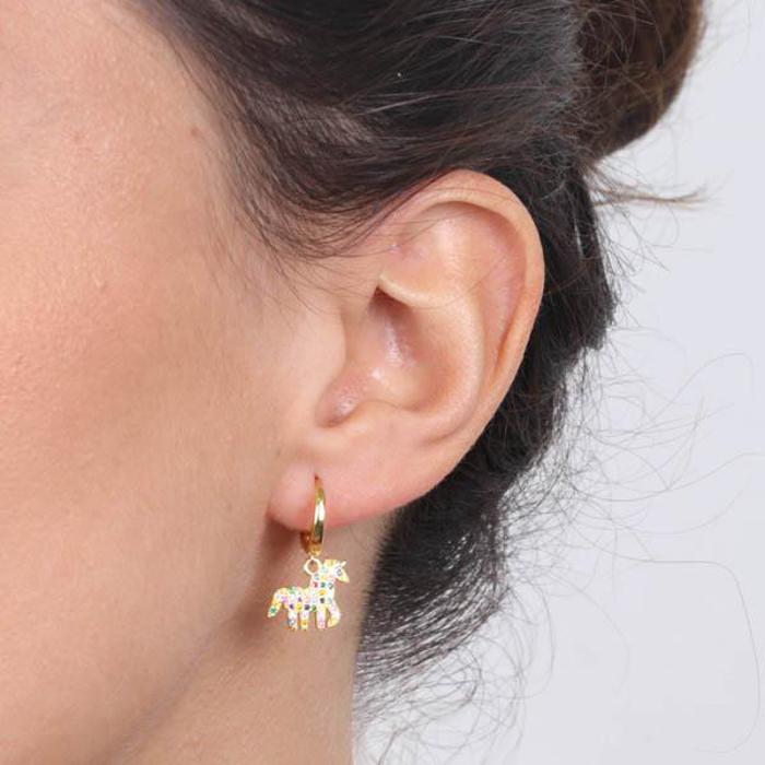 Boucles d'oreilles en argent 925