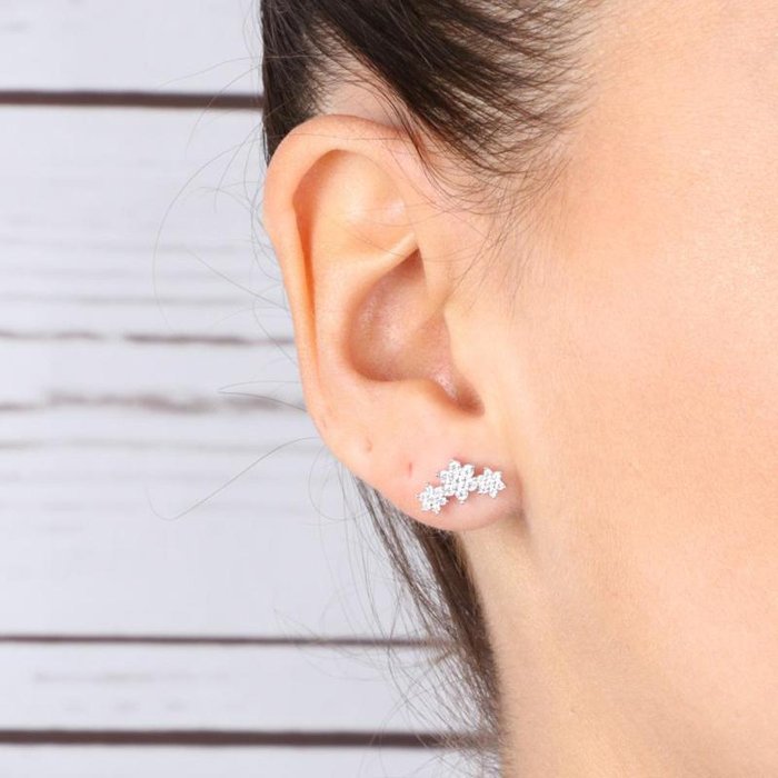 Boucles d'oreilles en argent 925