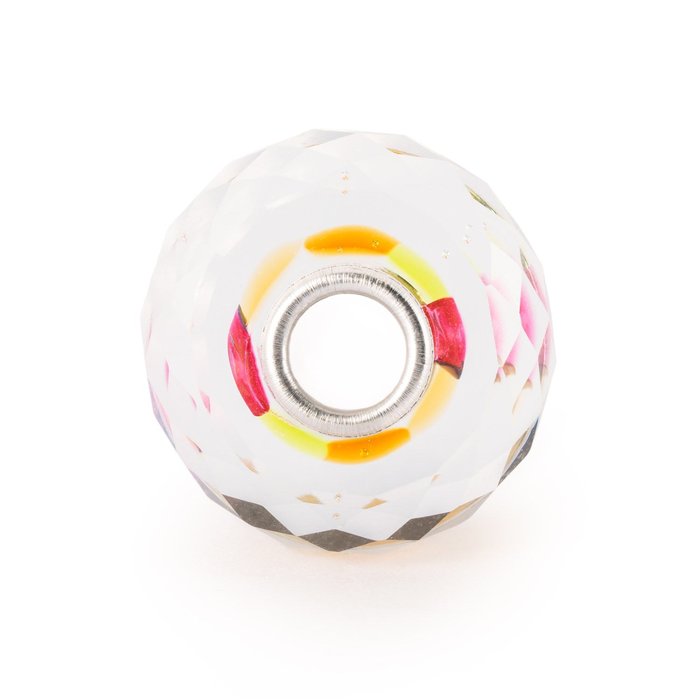 Riflessi di Passato e Presente