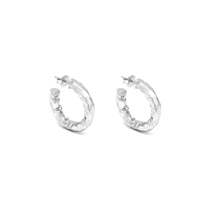 Small Stone Earrings