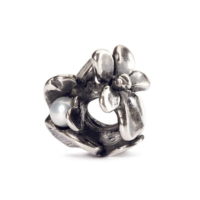Bead viola di febbraio