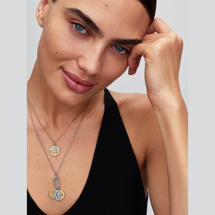 Charm Medallion Capricorno