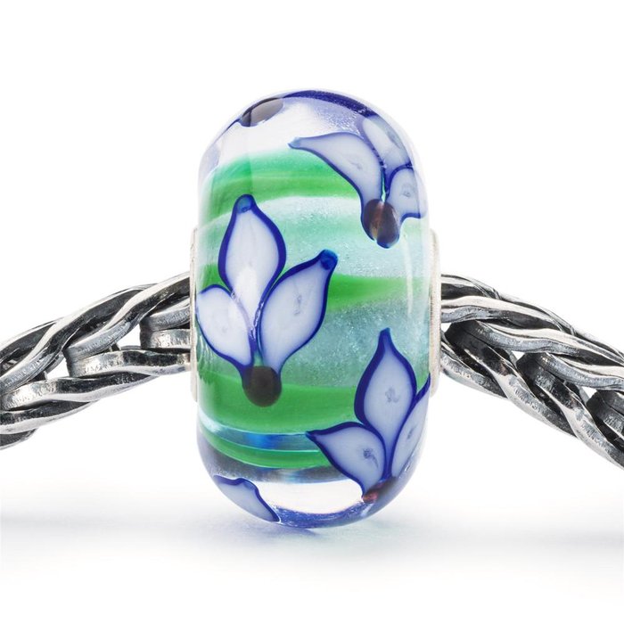 Iris bleu