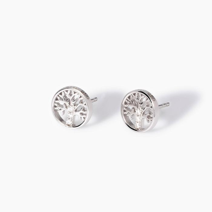 Boucles d'oreilles à tige Arbre de vie Arbre de vie