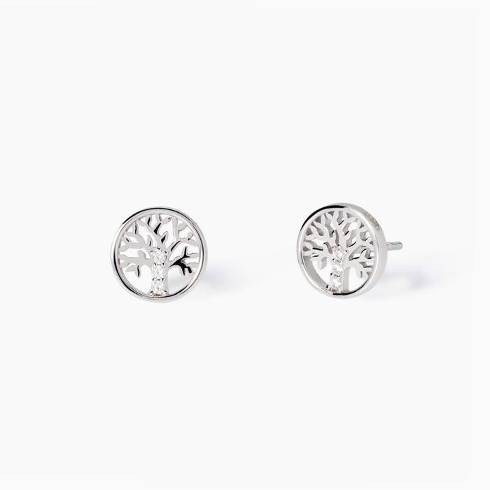 Boucles d'oreilles à tige Arbre de vie Arbre de vie