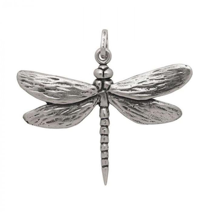 Medium Dragonfly