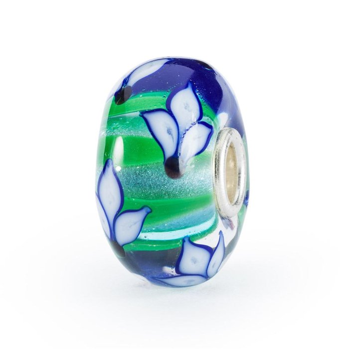 Iris bleu