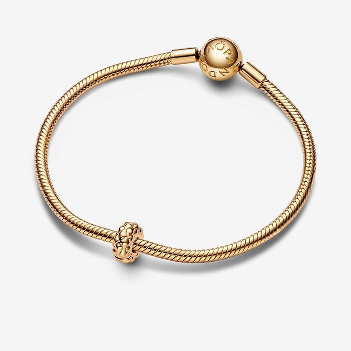 Charm Clip Geometrica Slim