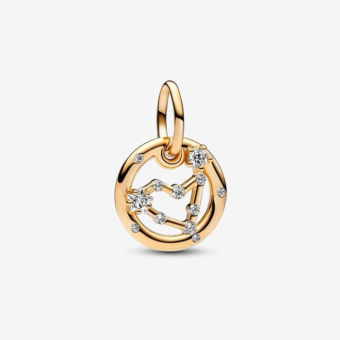 Capricorn Zodiac Sign Pendant Charm