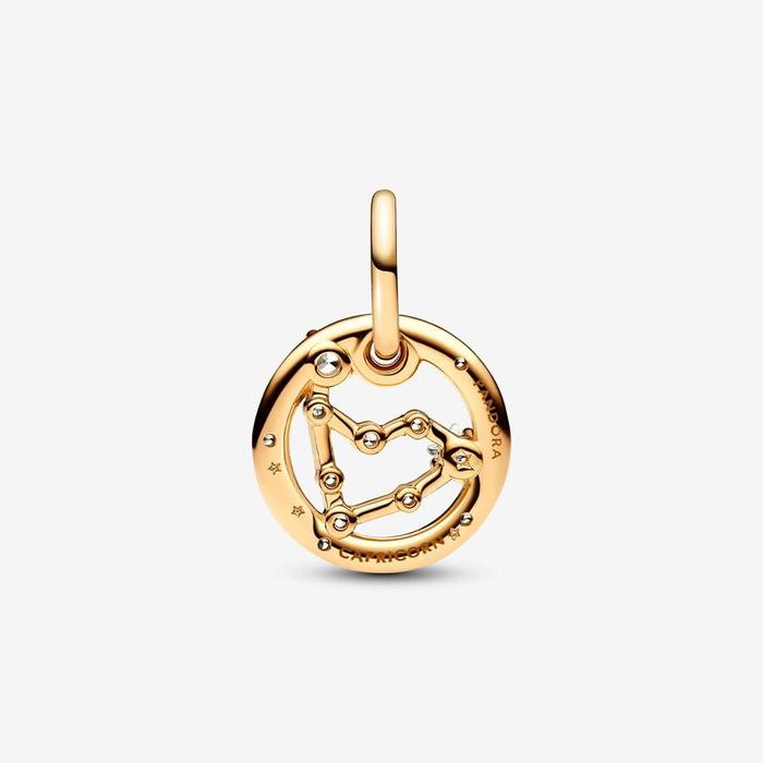 Capricorn Zodiac Sign Pendant Charm