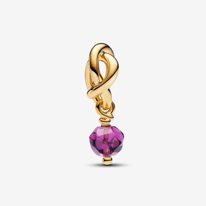 Purple Eternal Circle Pendant Charm February