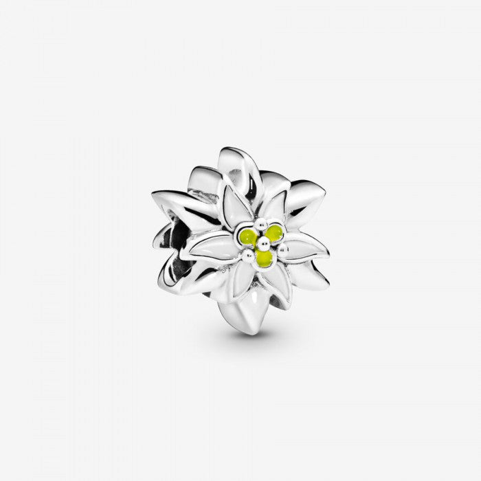 Charm stella alpina