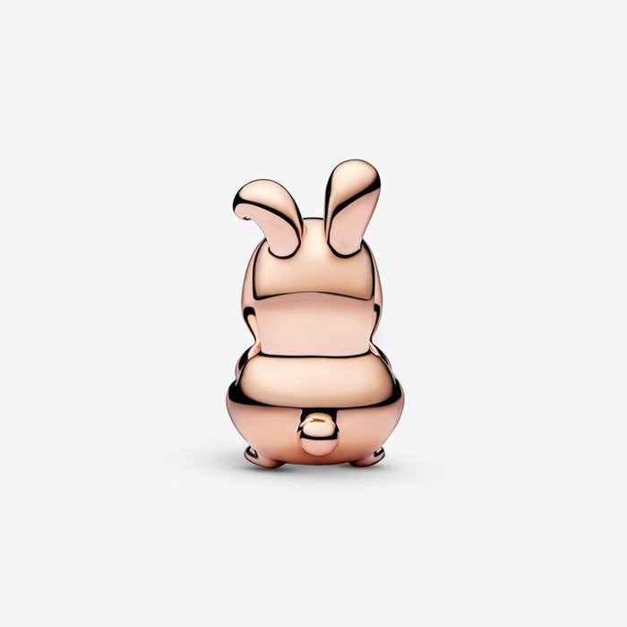 Charm Year of the Rabbit - Chinese Zodiac