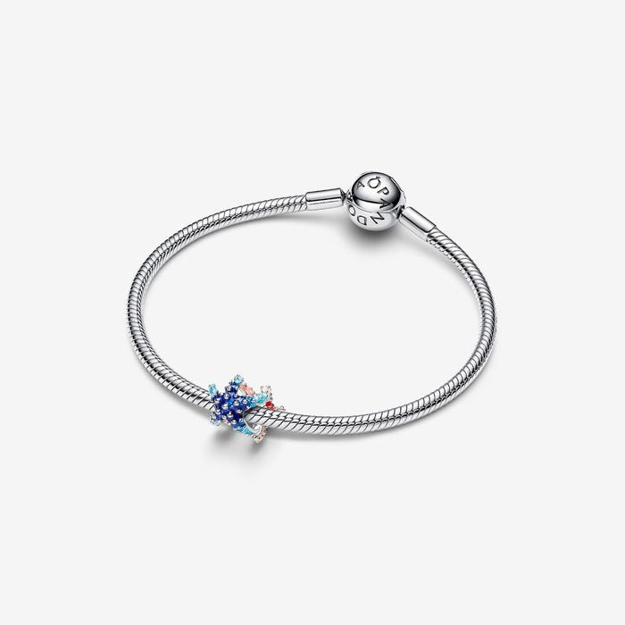 Charm Stella Marina Colorata
