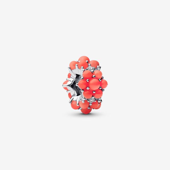 Charm Oceano Color Corallo