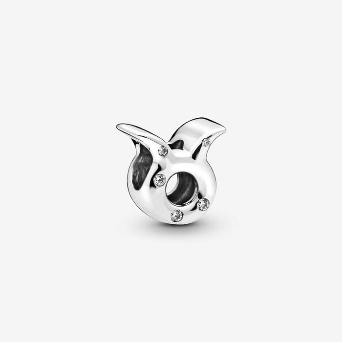 Charm Toro