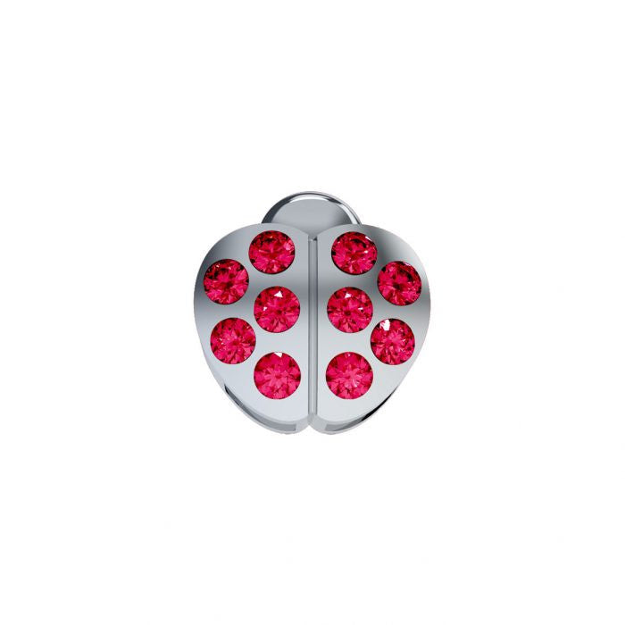 Elemento Coccinella