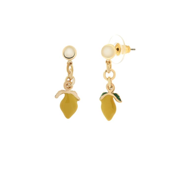 Boucles d'oreilles en métal