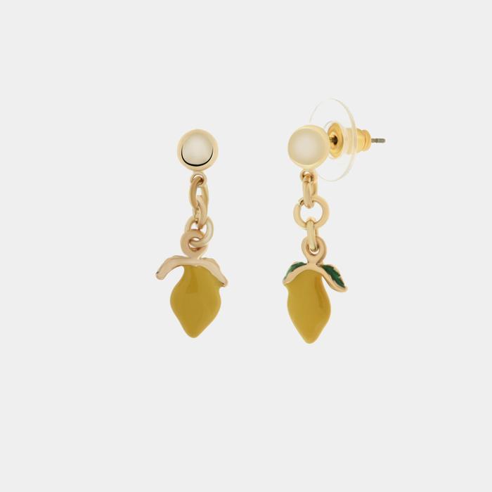 Boucles d'oreilles en métal