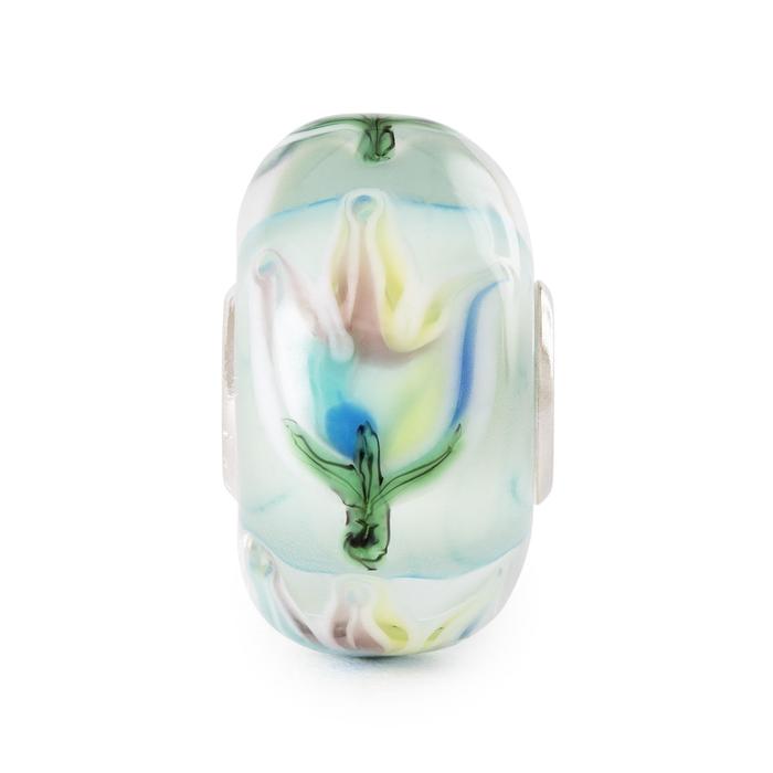 Tulipes arc-en-ciel