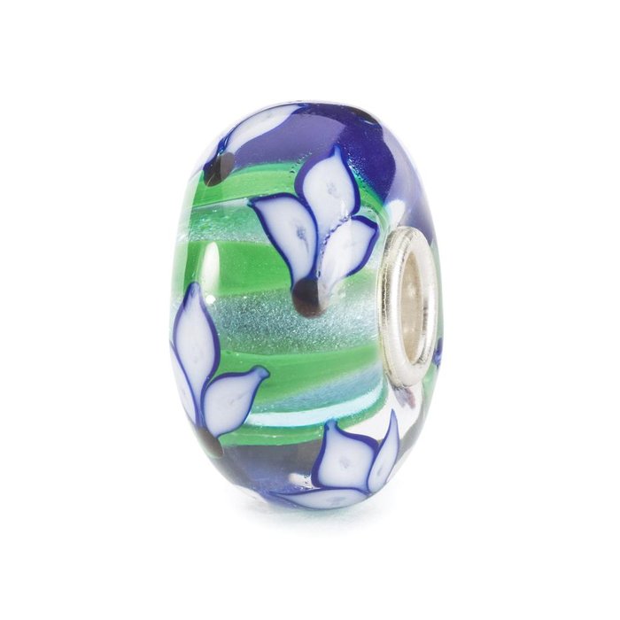 Iris bleu
