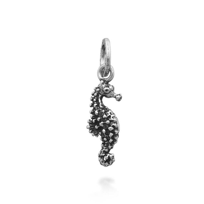Seahorse Charm