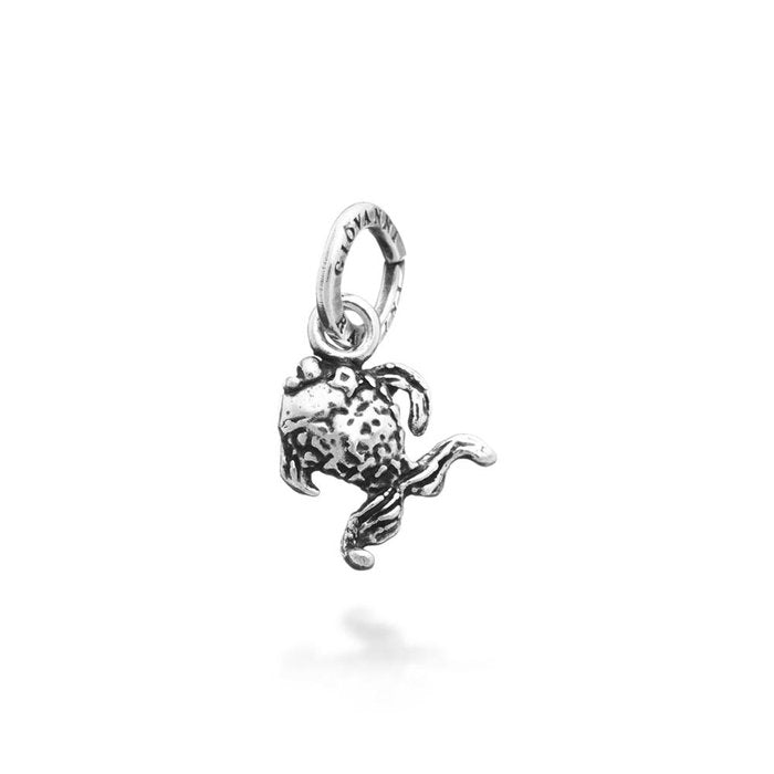 Charm Pesciolino